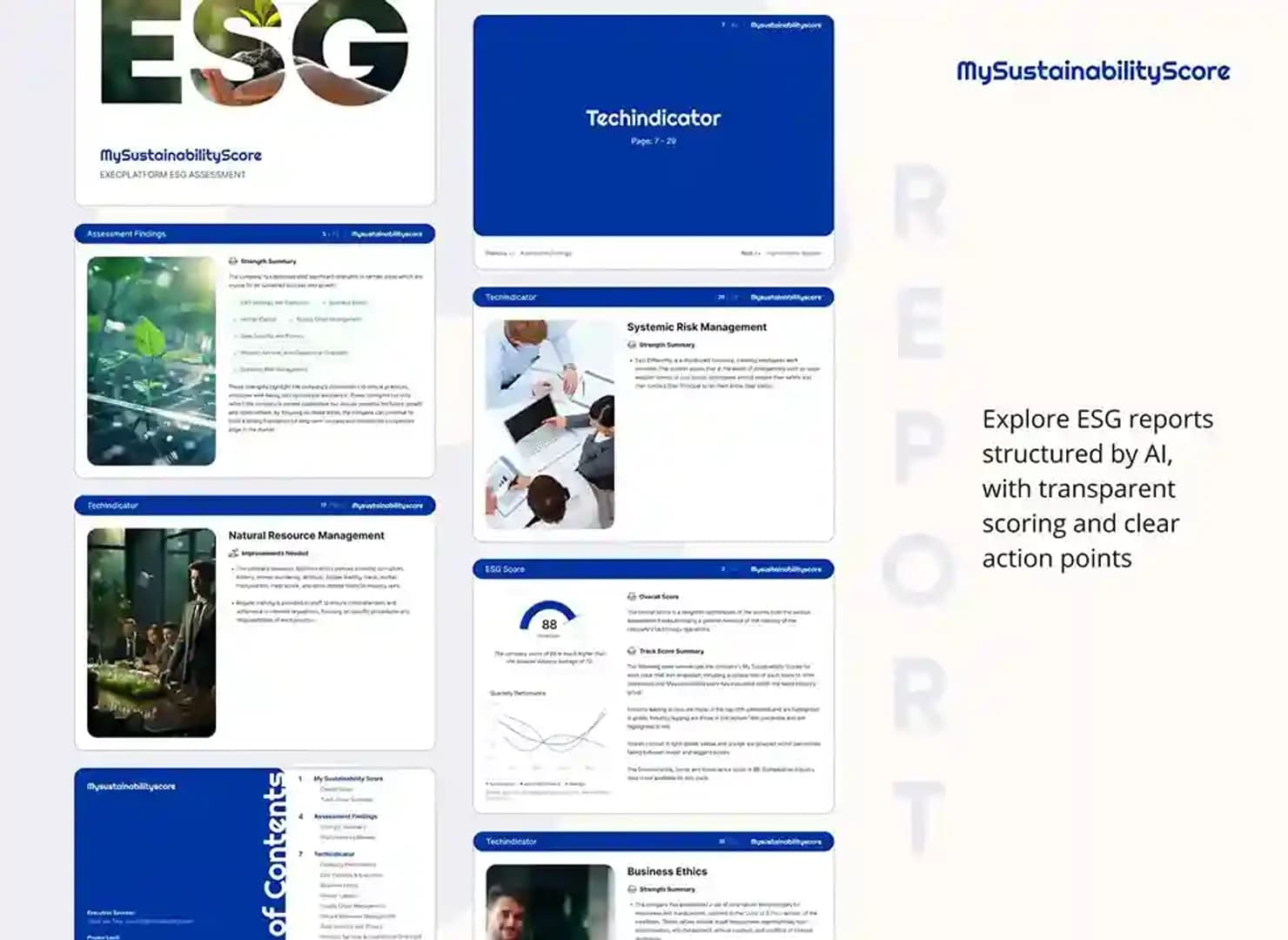 MSS Report